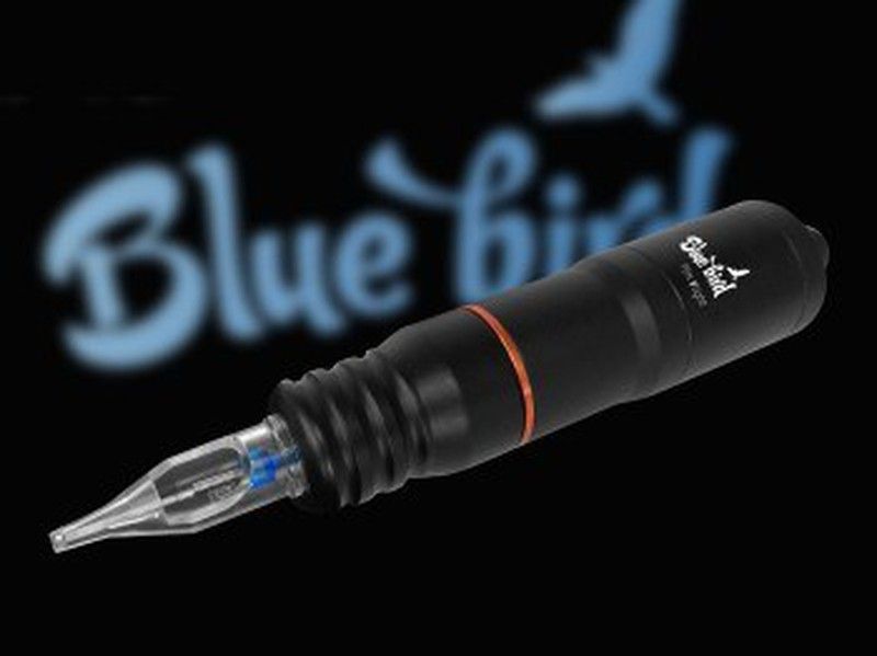 Pen Blue bird